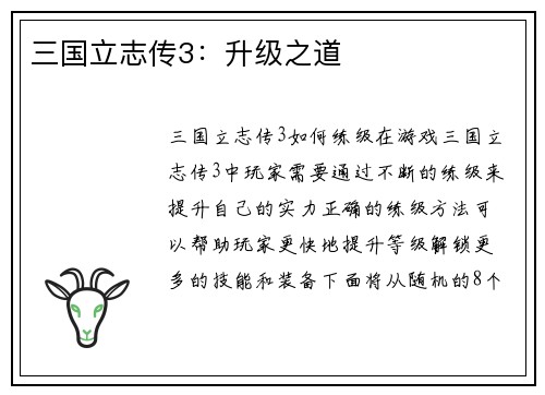 三国立志传3：升级之道